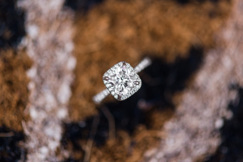 clarksburg maryland home engagement photography wedding couple