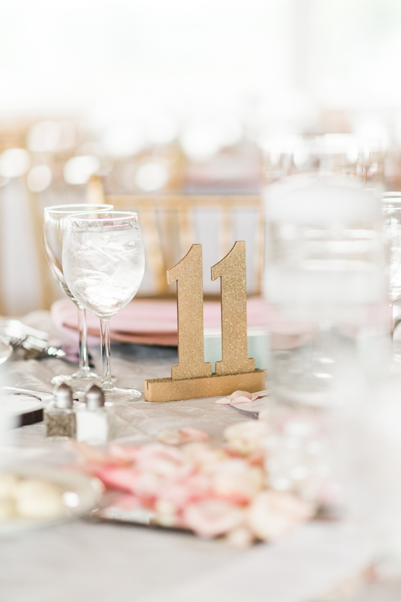 wedding photographers in maryland anchor inn pasadena reception decoration