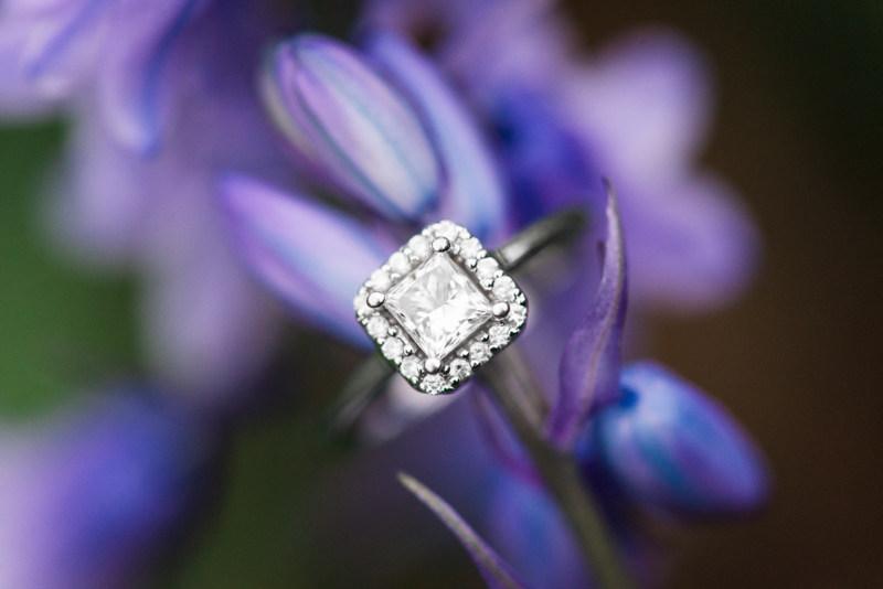 wedding photographers in maryland brookside gardens engagement silver spring