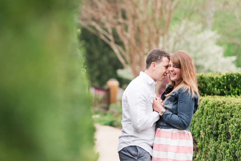 wedding photographers in maryland brookside gardens engagement silver spring