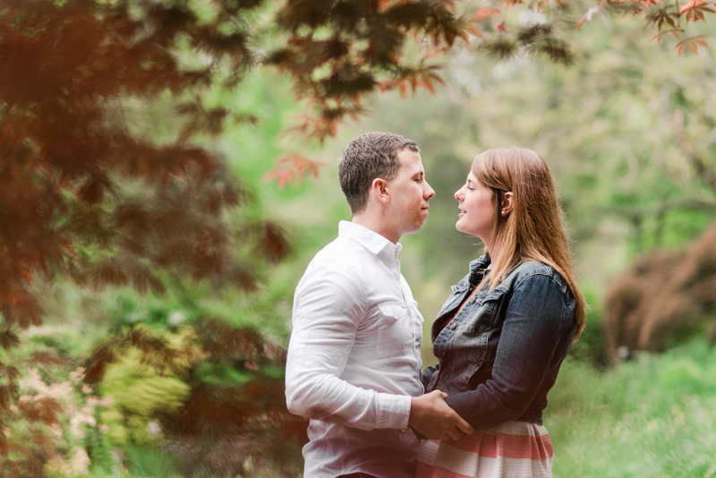 wedding photographers in maryland brookside gardens engagement silver spring