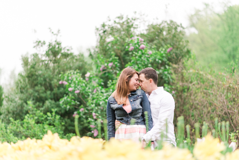 wedding photographers in maryland brookside gardens engagement silver spring