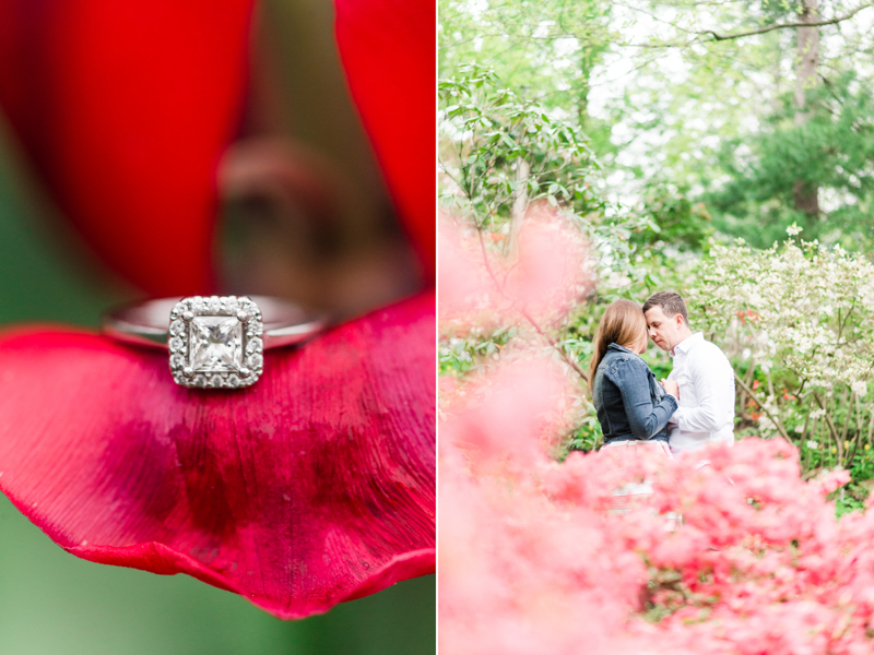 wedding photographers in maryland brookside gardens engagement silver spring