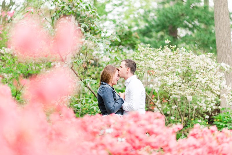 wedding photographers in maryland brookside gardens engagement silver spring