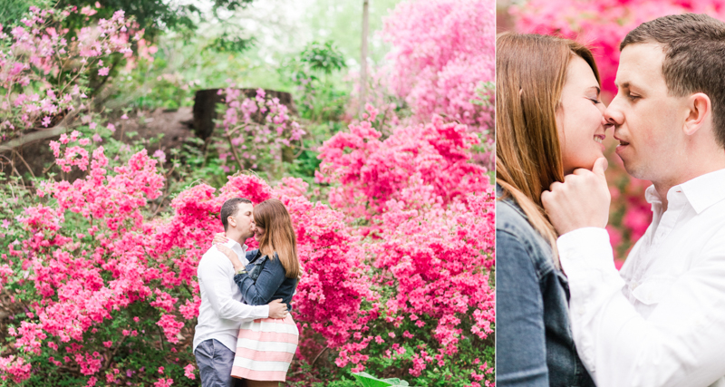 wedding photographers in maryland brookside gardens engagement silver spring