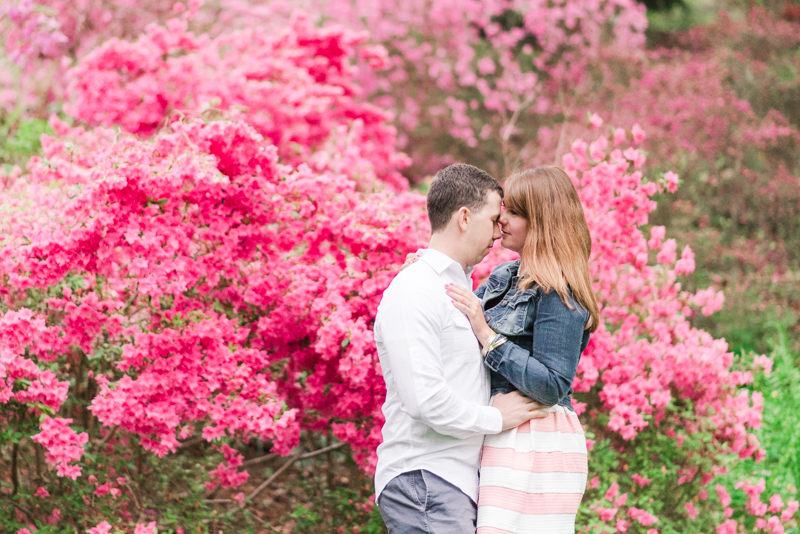 wedding photographers in maryland brookside gardens engagement silver spring