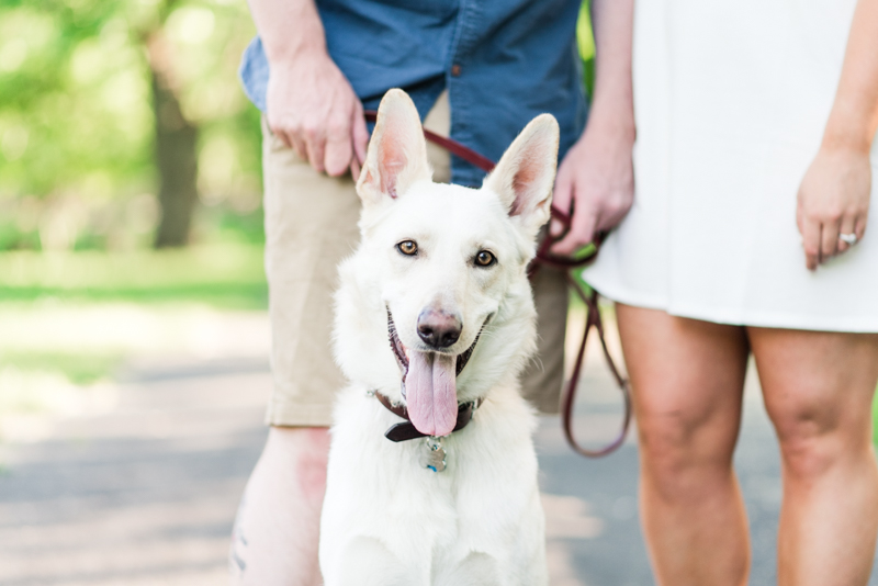 wedding photographers in maryland patapsco state park engagement session baltimore dog