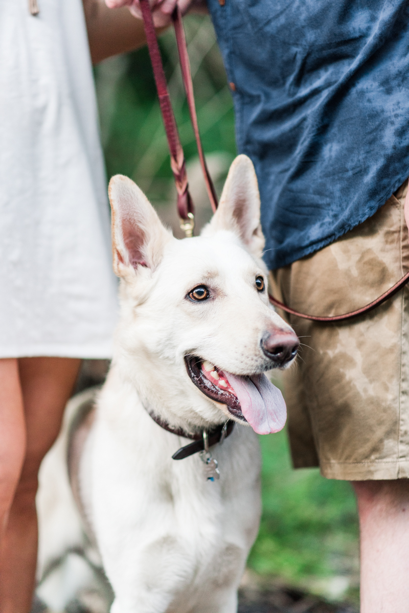 wedding photographers in maryland patapsco state park engagement session baltimore