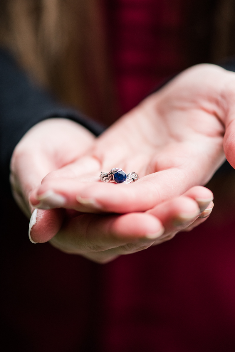 wedding photographers in maryland poolesville the peace park engagement session