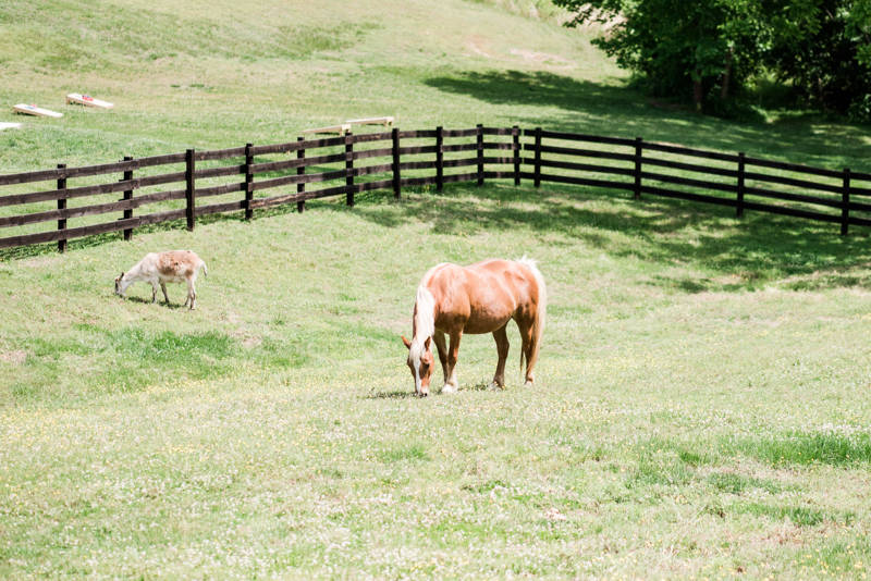 wedding photographers in maryland robin hill farm brandywine