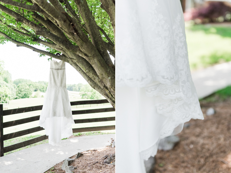 wedding photographers in maryland robin hill farm brandywine davids bridal