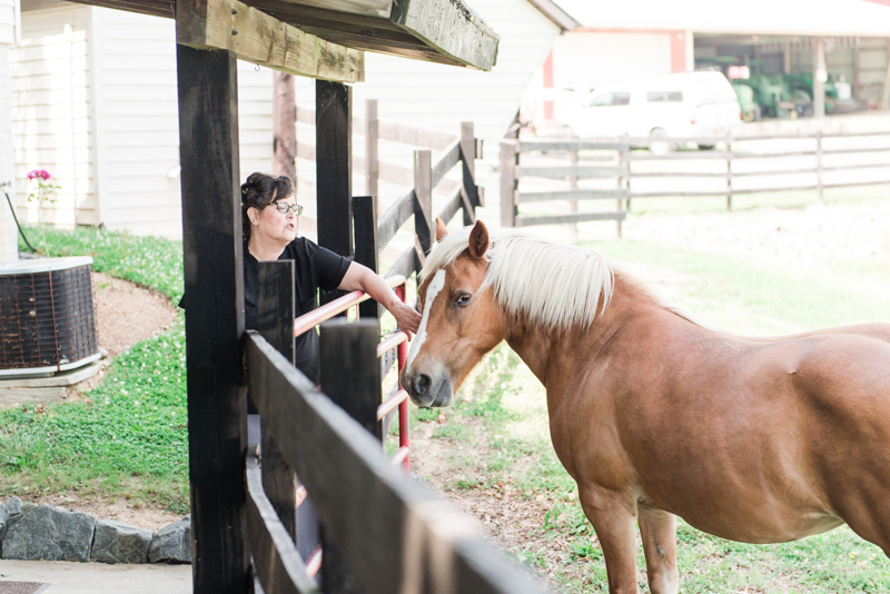 wedding photographers in maryland robin hill farm brandywine horse