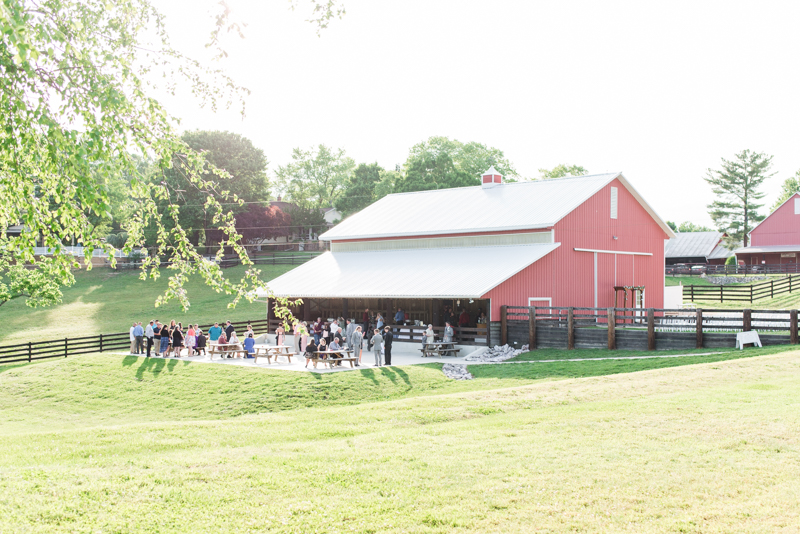 A Rustically Chic Robin Hill Farm Wedding  Alyssa Ryan 