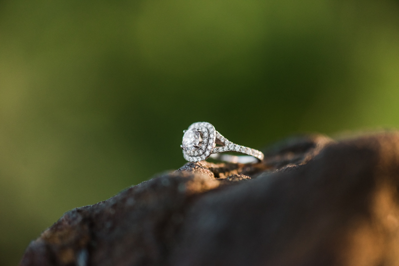 wedding photographers in maryland foxhill park engagement session bowie