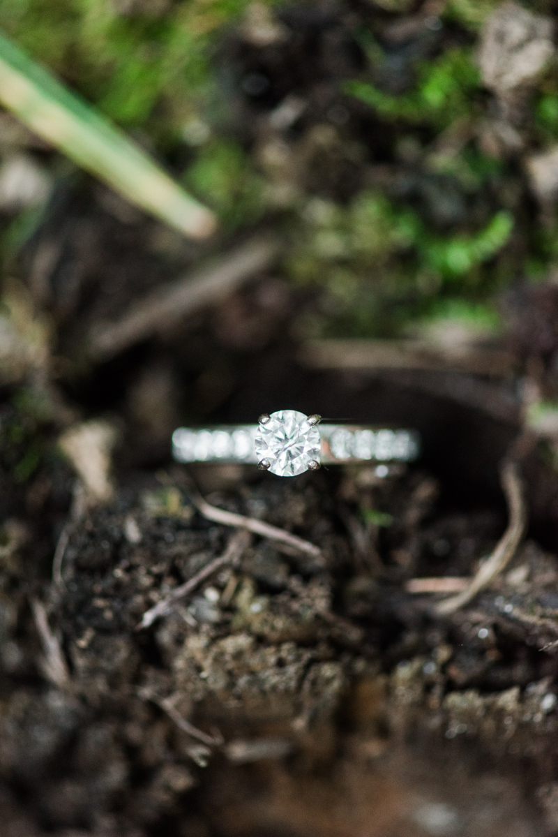 Wedding Photographers in Maryland Loch Raven Reservoir Engagement Baltimore Sunset