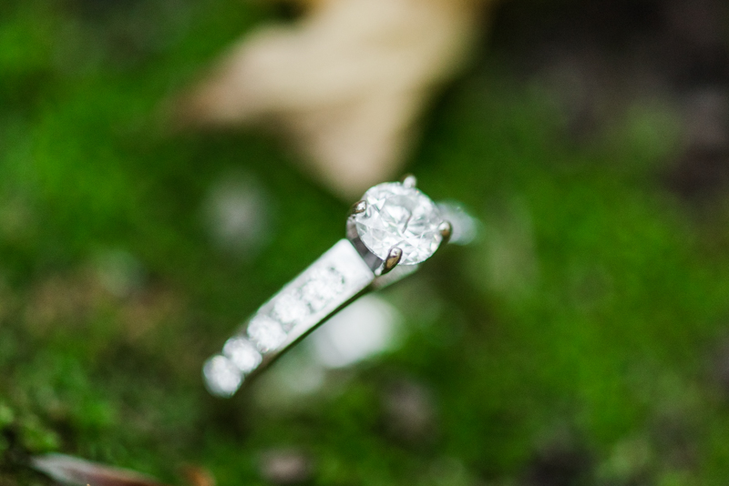 Wedding Photographers in Maryland Loch Raven Reservoir Engagement Baltimore Sunset