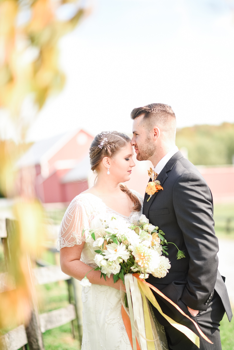 Wedding Photographers in Maryland Mount Airy Backyard October