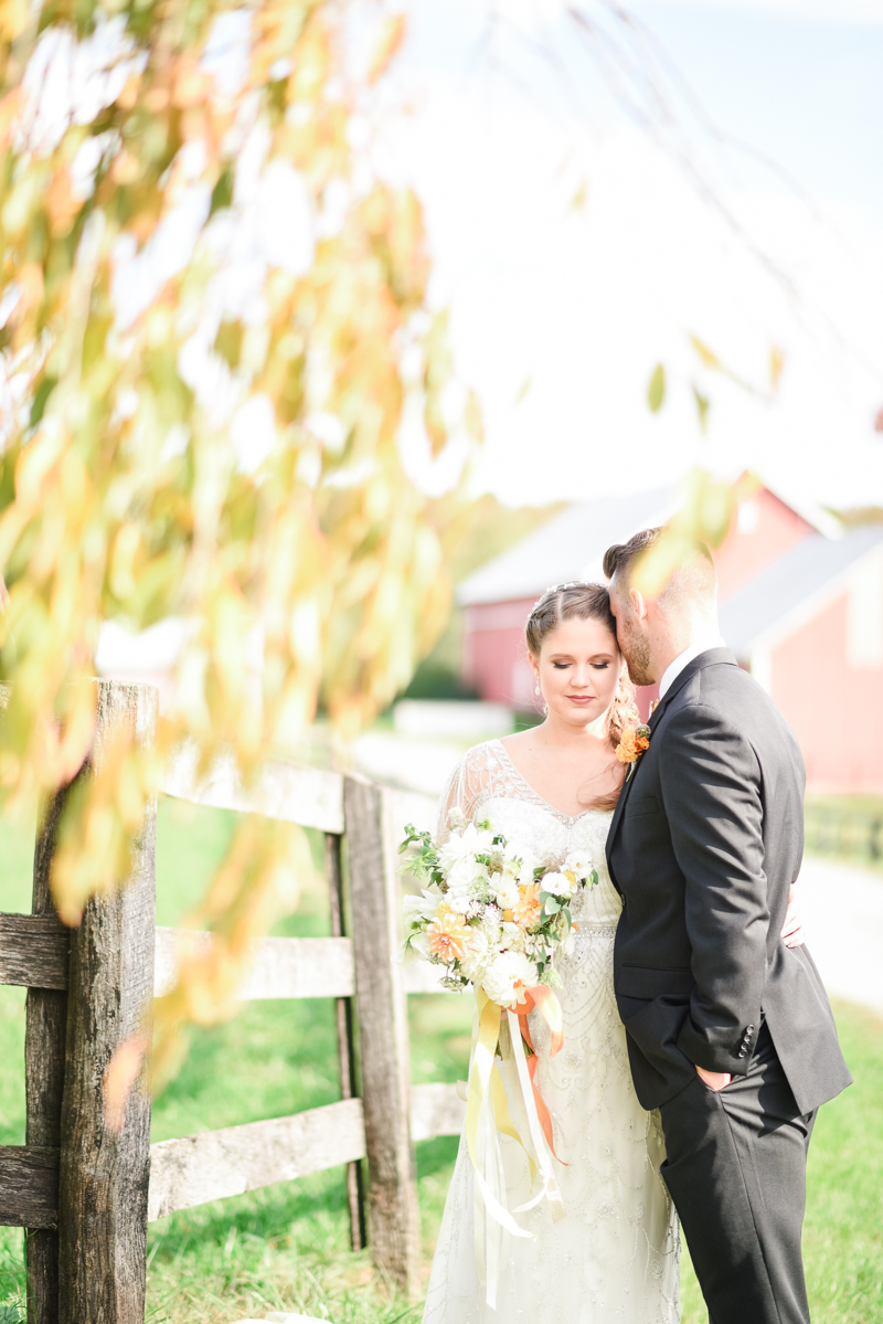 Wedding Photographers in Maryland Mount Airy Backyard October