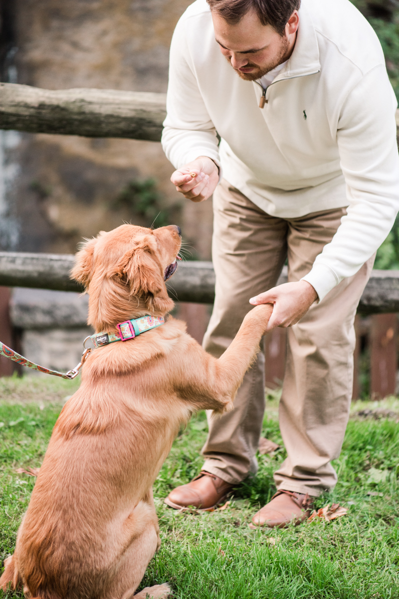 Wedding Photographers in Maryland Susquehanna State Park Engagement Session Sunset Dog