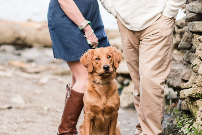 Wedding Photographers in Maryland Susquehanna State Park Engagement Session Sunset Dog