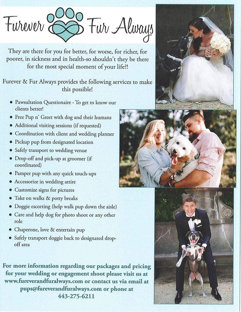 Wedding Photographers in Maryland Furever & Fur Always Pet Services