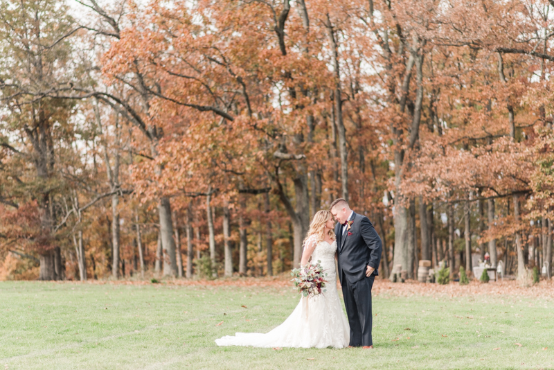 Wedding Photographers in Maryland Dulany's Overlook Frederick November