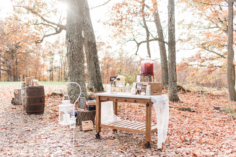 Wedding Photographers in Maryland Dulany's Overlook Frederick November