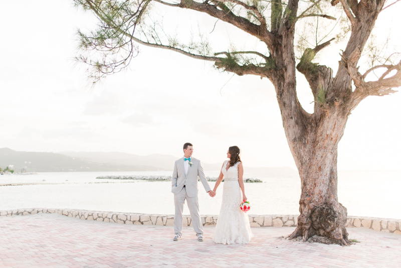 Wedding Photographers in Maryland Year Review Engagement Family Pets