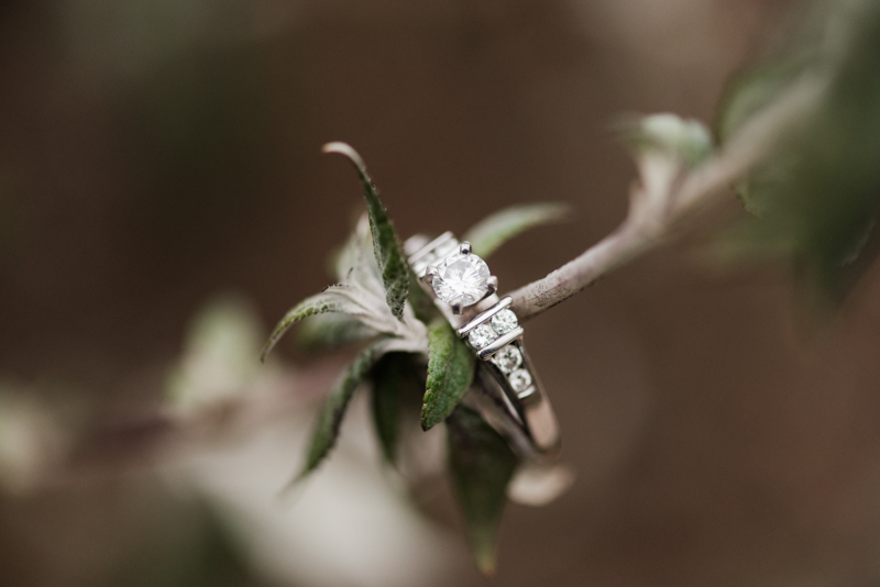 Wedding Photographers in Maryland Year Review Engagement Family Pets