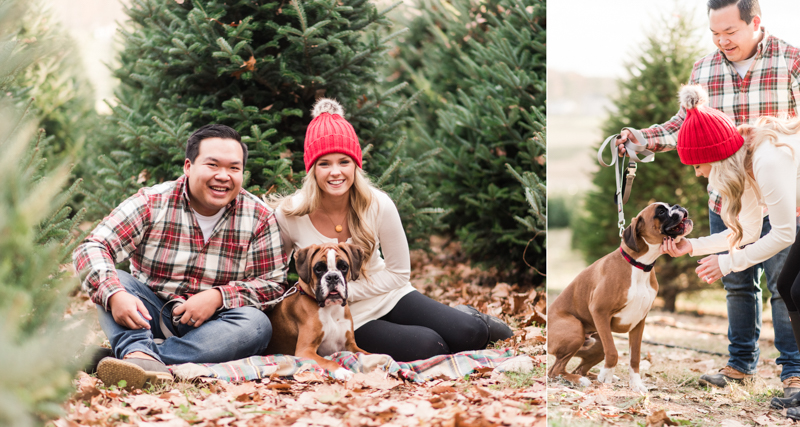 Wedding Photographers in Maryland Year Review Engagement Family Pets