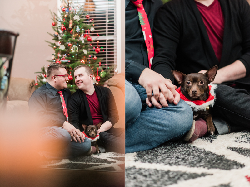 Wedding Photographers in Maryland Year Review Engagement Family Pets