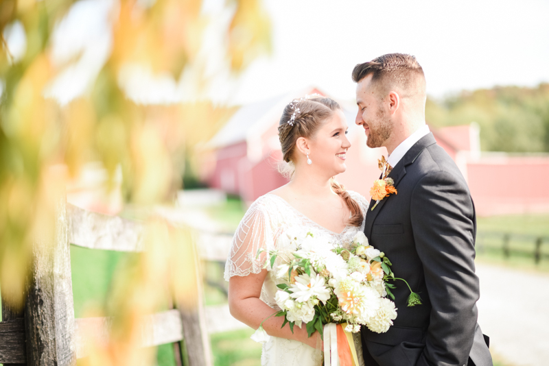 Wedding Photographers in Maryland Year Review Engagement Family Pets