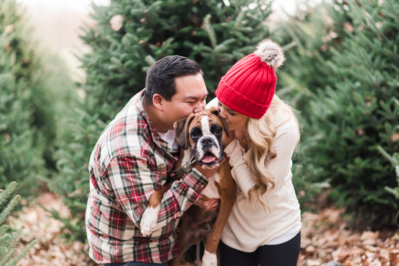 Wedding Photographers in Maryland Year Review Engagement Family Pets