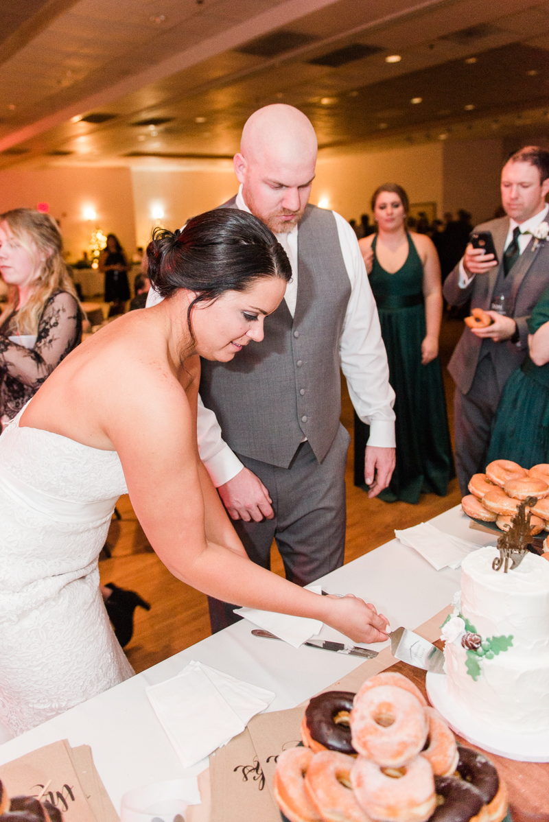 Wedding Photographers in Maryland Catonsville Halethorpe Arbutus Snow