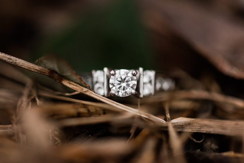 Wedding Photographers in Maryland Centennial Park Ellicott City Engagement Ring