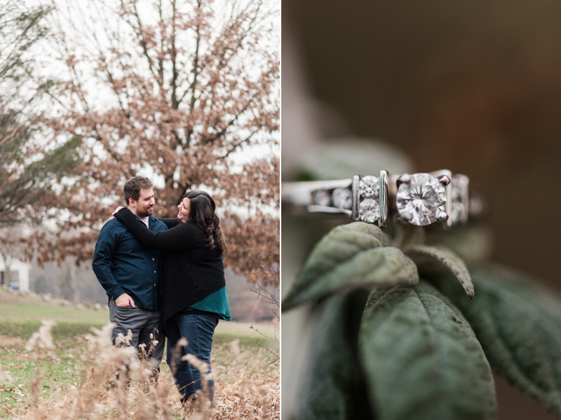 Wedding Photographers in Maryland Centennial Park Ellicott City Engagement