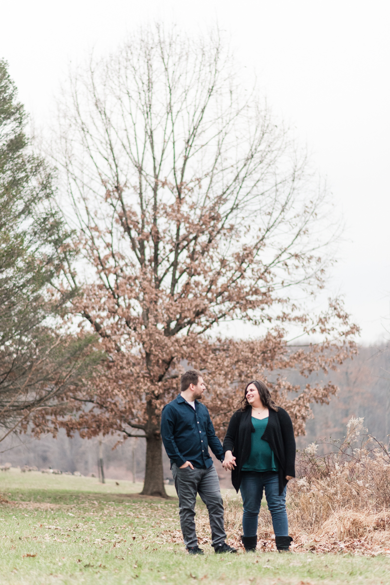 Wedding Photographers in Maryland Centennial Park Ellicott City Engagement