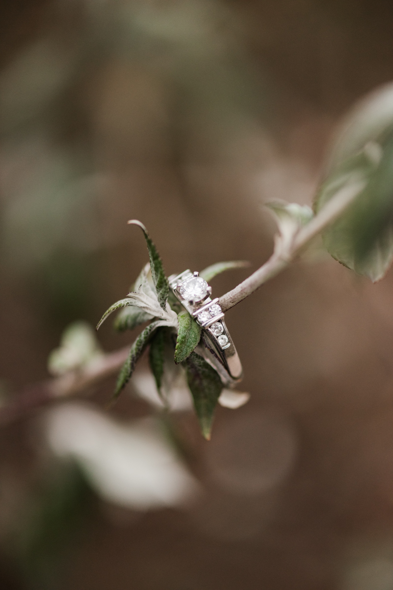 Wedding Photographers in Maryland Centennial Park Ellicott City Engagement Ring