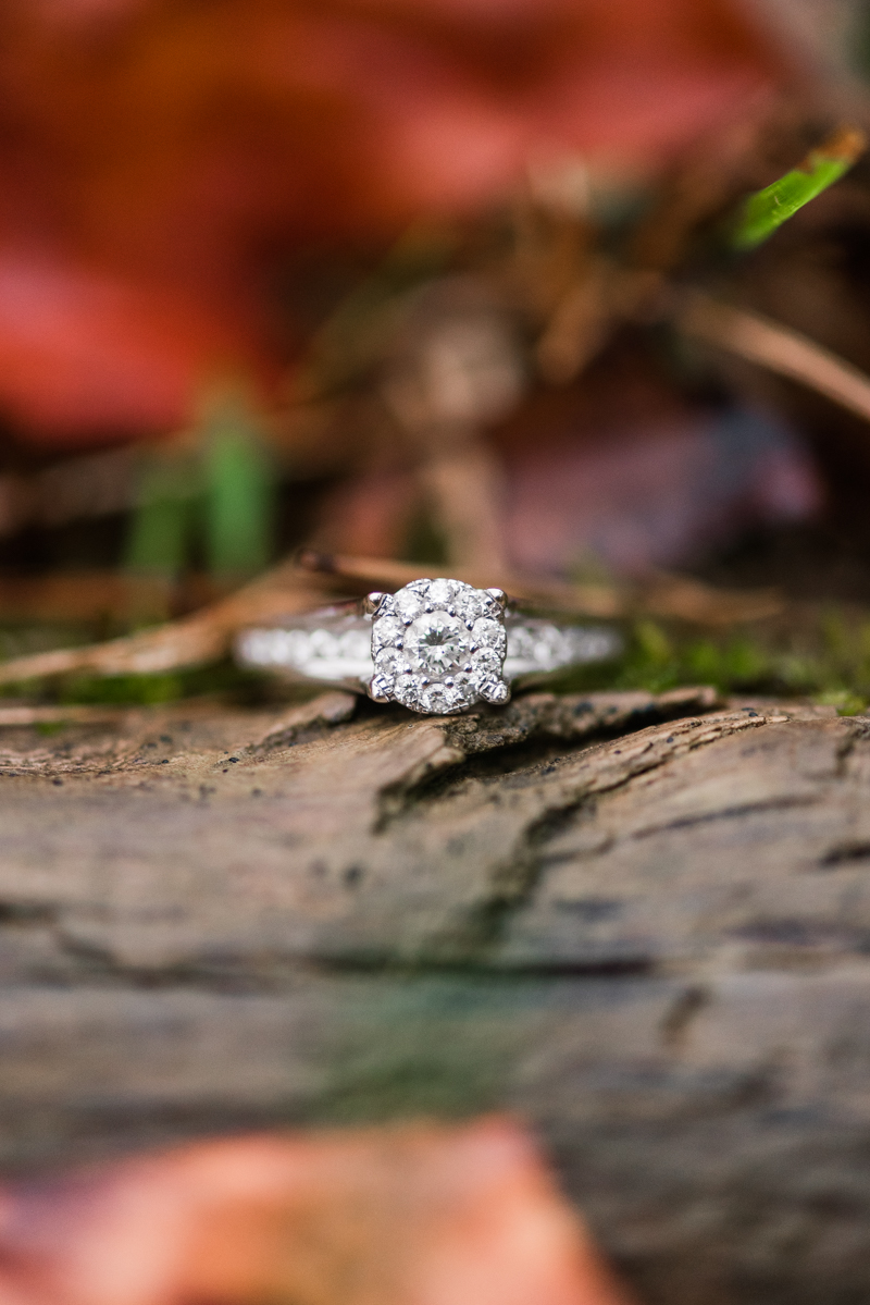 Wedding Photographers in Maryland Loch Raven Reservoir Engagement Session Ring