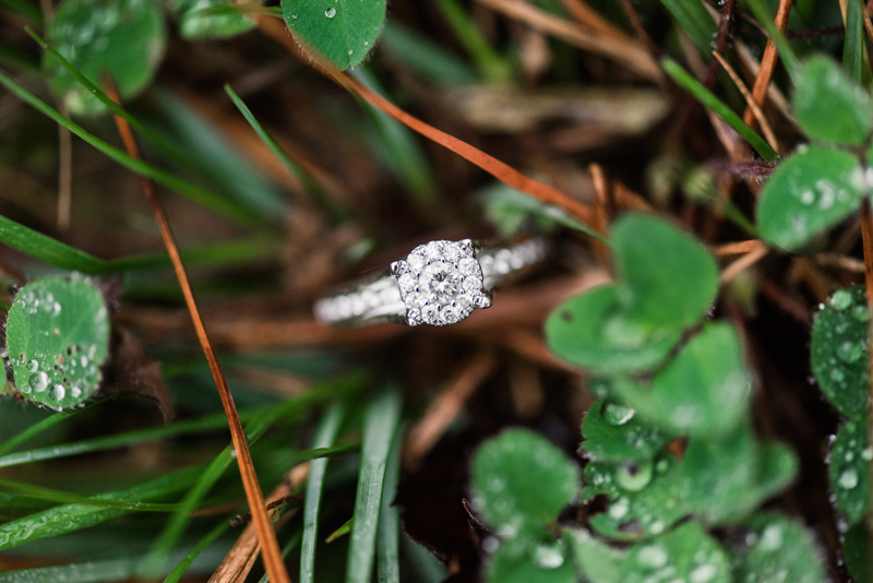 Wedding Photographers in Maryland Loch Raven Reservoir Engagement Session Ring