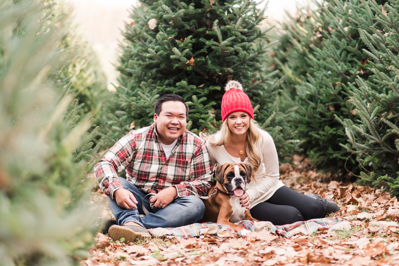 Wedding Photographers in Maryland Pine Valley Farms Family Session Christmas Boxer McQueen