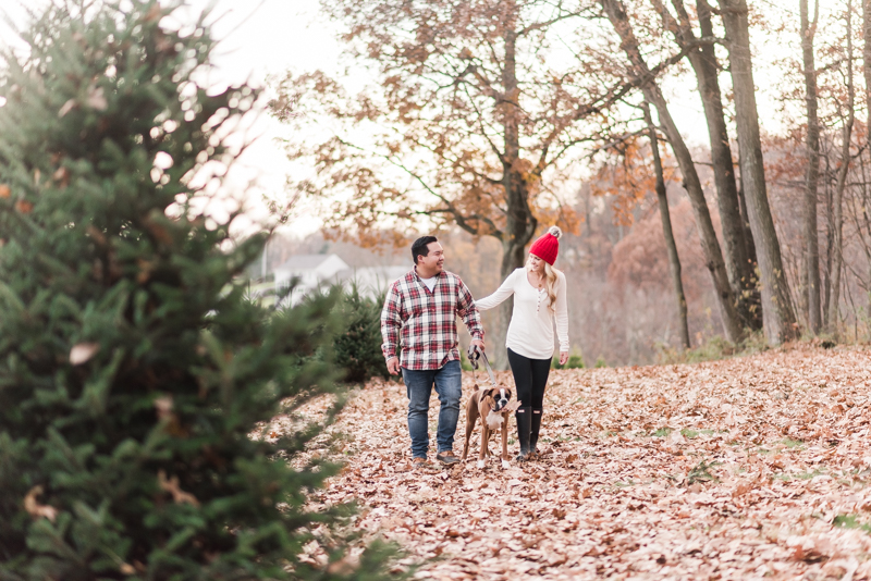 Wedding Photographers in Maryland Pine Valley Farms Family Session Christmas Boxer McQueen