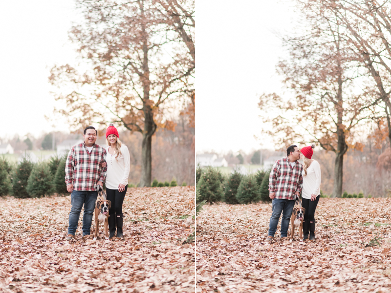 Wedding Photographers in Maryland Pine Valley Farms Family Session Christmas Boxer McQueen