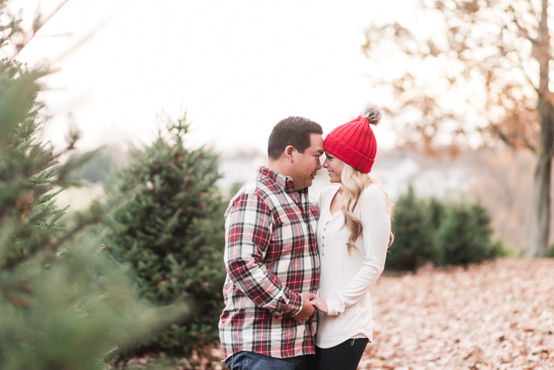 Wedding Photographers in Maryland Pine Valley Farms Family Session Christmas Boxer McQueen