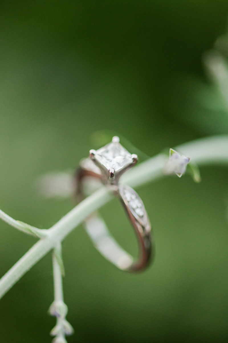 Wedding Photographers in Maryland Downtown Annapolis Engagement Waterfront Sunrise