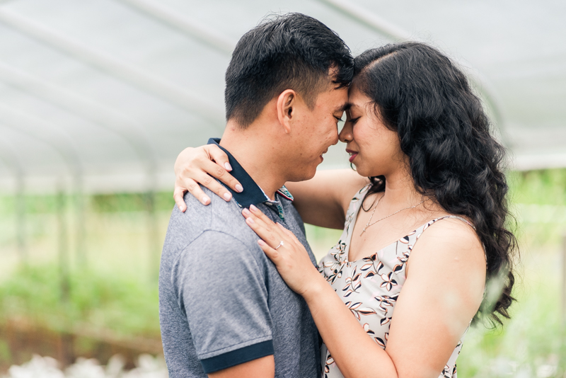 Wedding Photographers in Maryland Butterbee Farm Engagement Baltimore Flower Fields