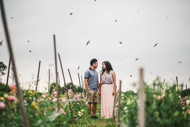 Wedding Photographers in Maryland Butterbee Farm Engagement Baltimore Flower Fields