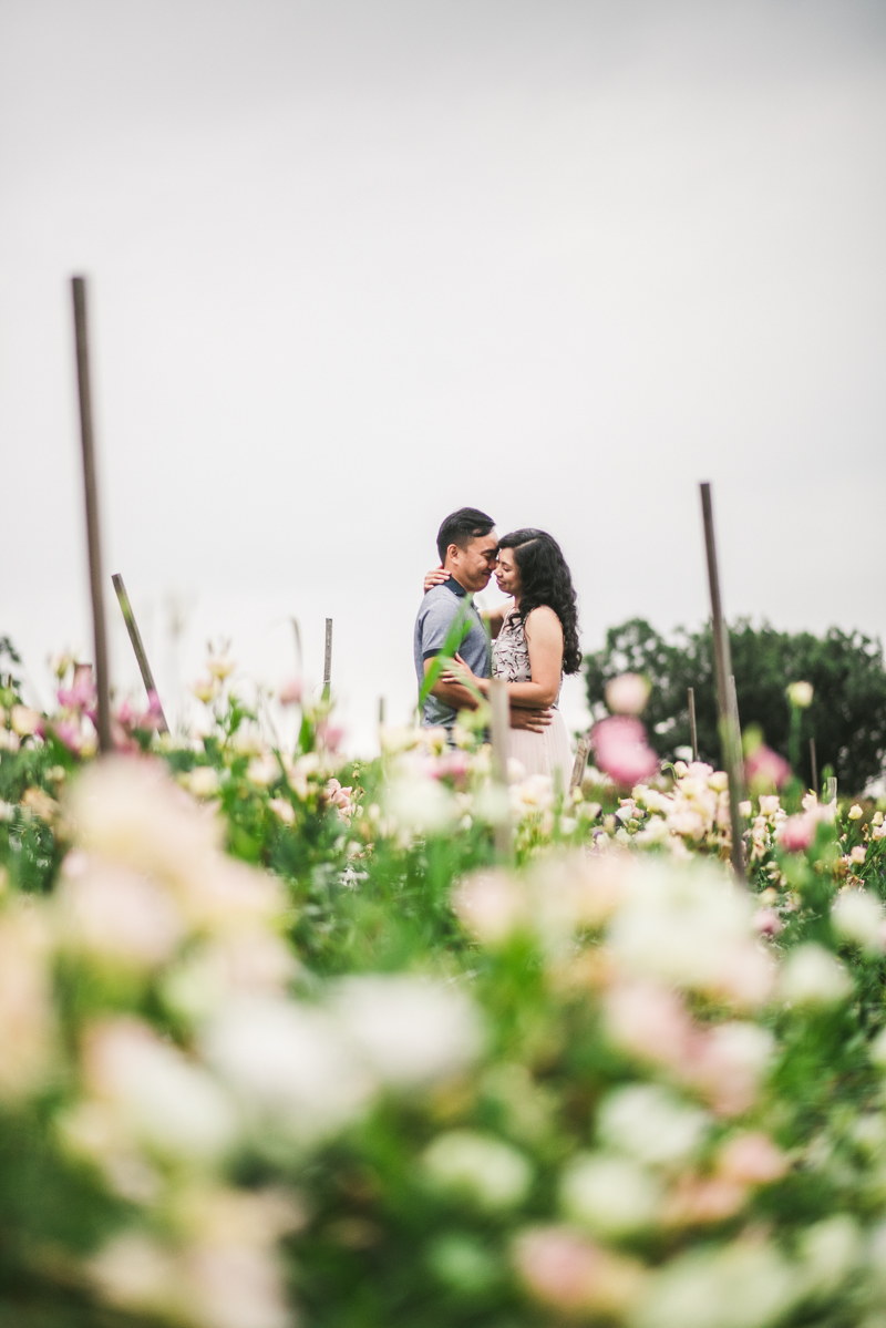 Wedding Photographers in Maryland Butterbee Farm Engagement Baltimore Flower Fields