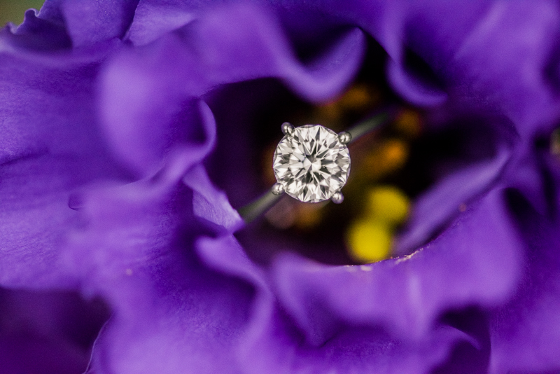 Wedding Photographers in Maryland Butterbee Farm Engagement Baltimore Flower Fields Ring