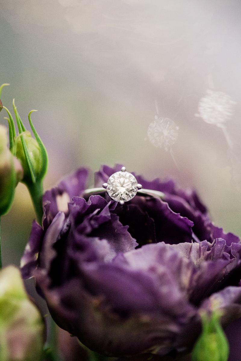 Wedding Photographers in Maryland Butterbee Farm Engagement Baltimore Flower Fields Prism Photography Ring